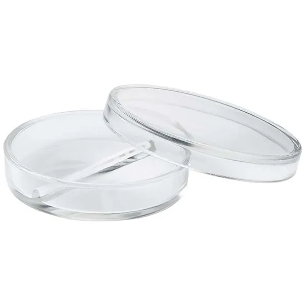 Petri miska 100x15 mm