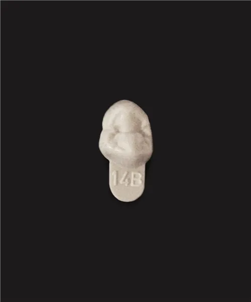 Gnathoflex Premium 14B 1ks