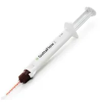 GuttaFlow 2 Automix st.set, 5ml, 12 špiček, 1mích.blok (9028914)
