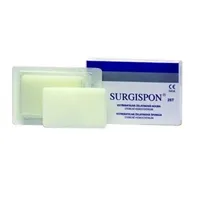 Surgispon regular houbičky (7x5x1cm) 2ks
