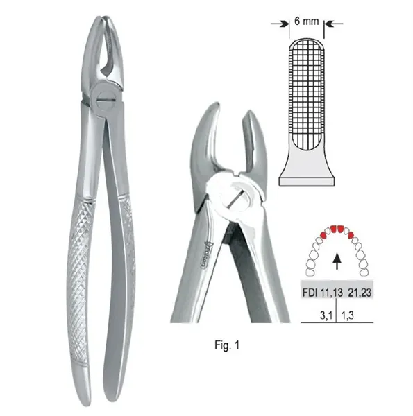Extrakční kleště fig. 1