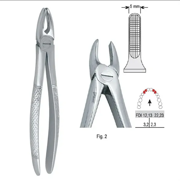 Extrakční kleště fig. 2