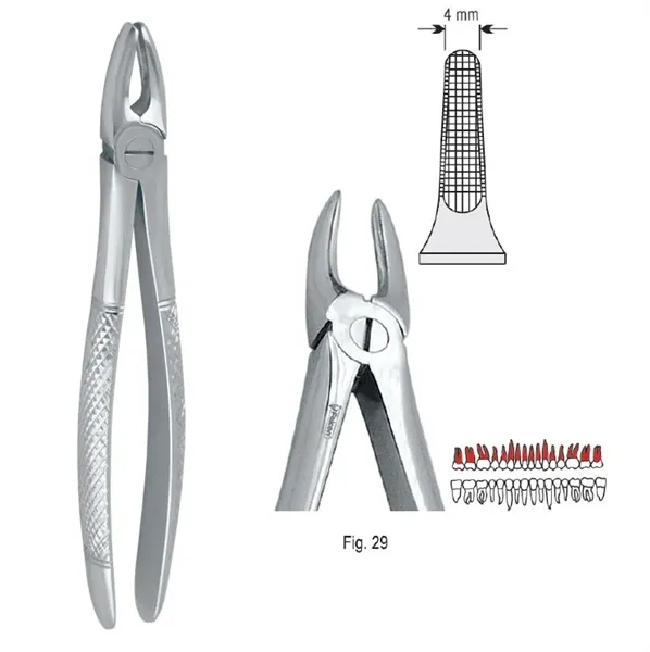 Extrakční kleště fig. 29