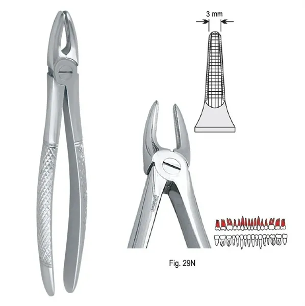 Extrakční kleště fig. 29N