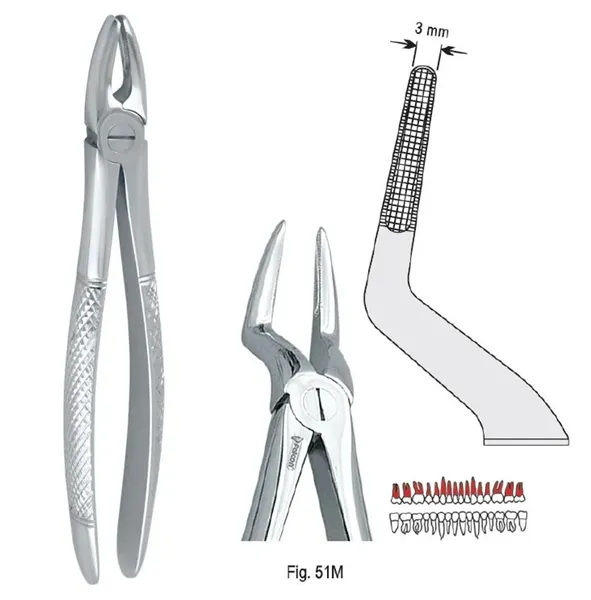 Extrakční kleště fig. 51M