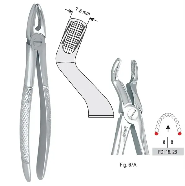 Extrakční kleště fig. 67A