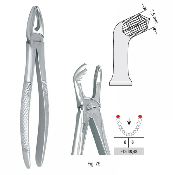 Extracting forceps European pattern fig. 79