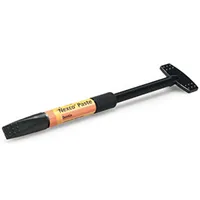 SR Nexco Paste Dentin 2.5 g C2