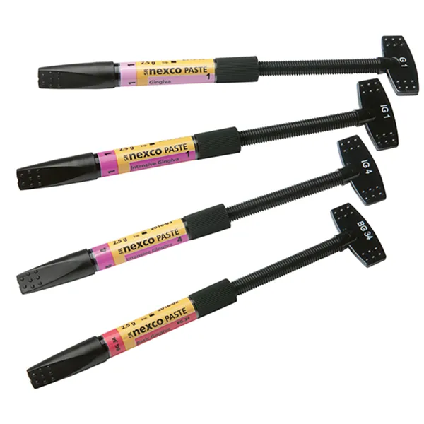 SR Nexco Paste Int. Gingiva 2.5g IG 2