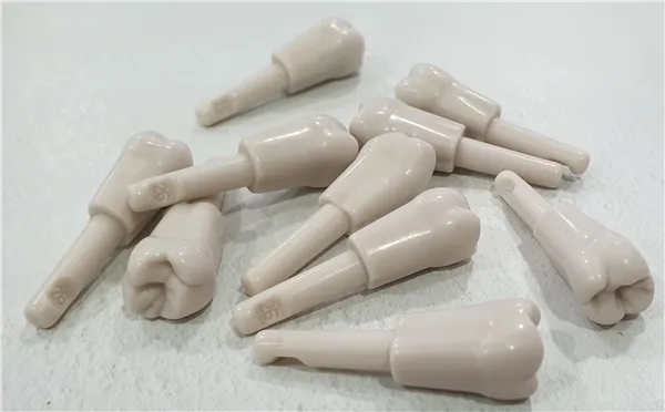 molar 2.6, pack of 10