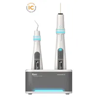 Kerr Elements IC