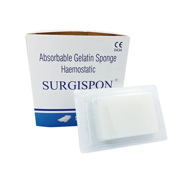 Surgispon regular houbičky (7x5x1cm) 10ks