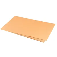 ORBIS Tray papíry pro Norm tácky oranžový, rozměr 28 × 18 cm, balení 250 ks