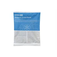 ORBIS Instant Cold Pack 24ks 180x140mm