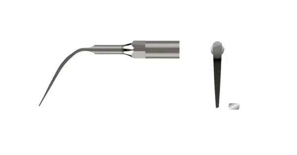 ORBIS Hrot scaleru pro EMS E #OR-P Universal