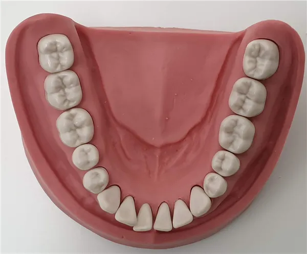 SIMULATION MODEL UK VZ
