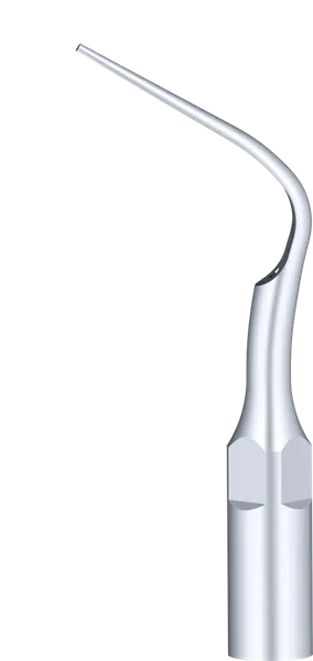 Woodpecker P5